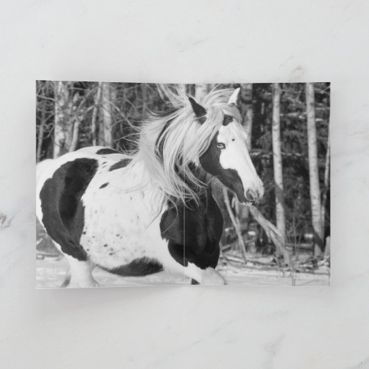 Zigeuner in het bos - Vakantie paard wenskaart Kaart (Binnen)