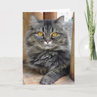 zigeuner-Kaart Kaart