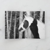 zigeuner kijkt uit - Wenskaart Kaart (Binnen)