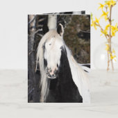 zigeuner kijkt uit - Wenskaart Kaart (Gele Bloem)