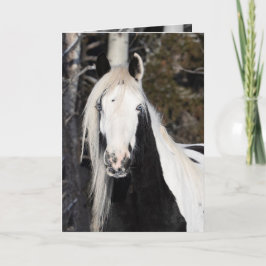 zigeuner kijkt uit - Wenskaart Kaart