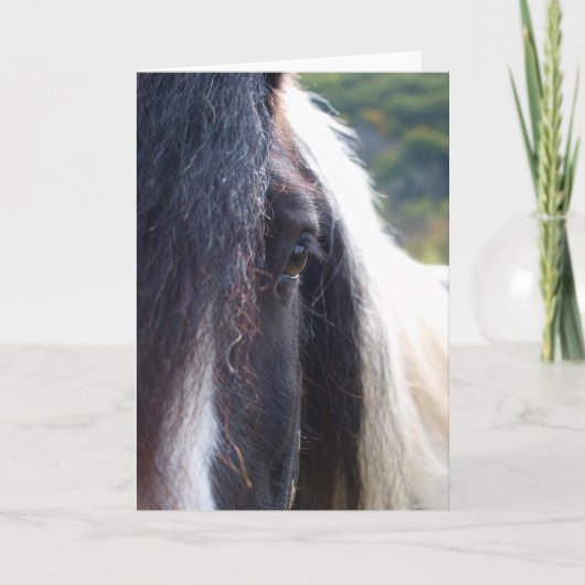 Zigeuner Vanner Notecard Kaart (Voorkant)