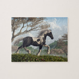 Zigeuner Vanner, Spring Trot Legpuzzel