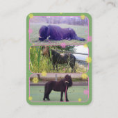 Zigeuner - Visitekaartje (Achterkant)