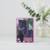 Zigeuner - Visitekaartje (Staand voorkant)