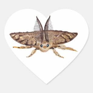 Zigeunermot, Lymantria verdwijnen, vliegen Hart Sticker