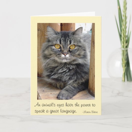 zigeunerogen bedankkaart (Voorkant)