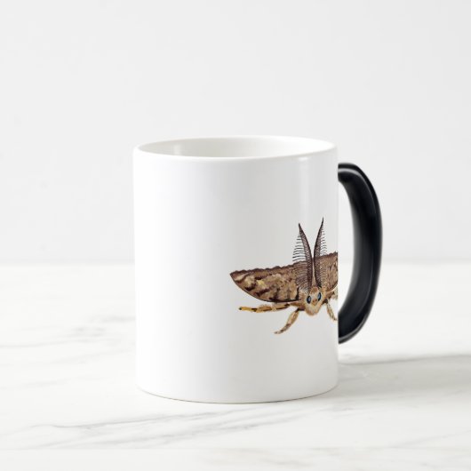 Zigeunervlinder, Lymantria dispar Zoological Magische Mok (Voorkant rechts)