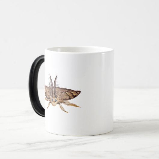 Zigeunervlinder, Lymantria dispar Zoological Magische Mok (Voorkant links)