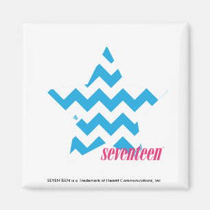 ZigZag Aqua 2 Magneet