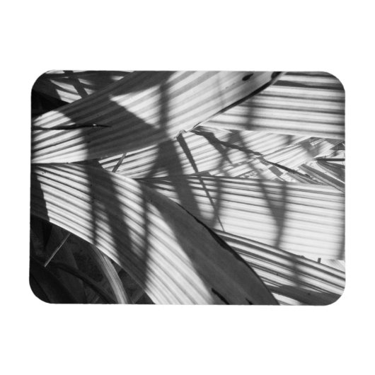 Zigzag Magneet (Horizontaal)