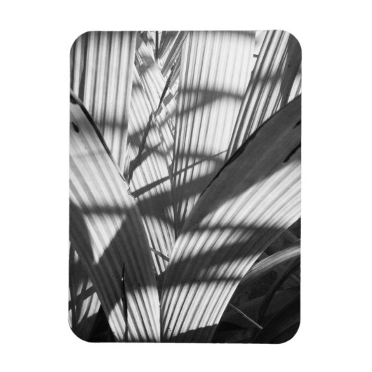 Zigzag Magneet (Verticaal)