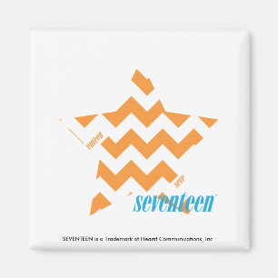 ZigZag Oranje 3 Magneet