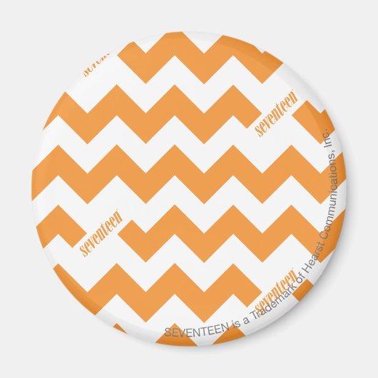 ZigZag Oranje Magneet (Voorkant)