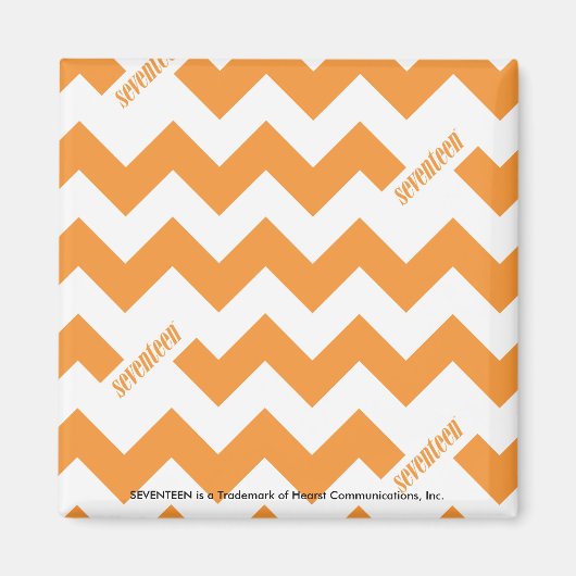 ZigZag Oranje Magneet (Voorkant)
