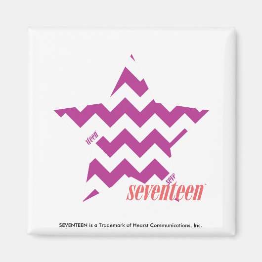 ZigZag Paars 4 Magneet (Voorkant)