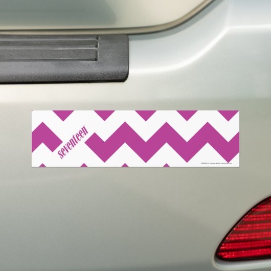 ZigZag Paars Bumpersticker (Op auto)