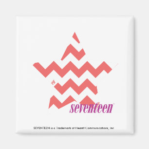 ZigZag Roze 4 Magneet