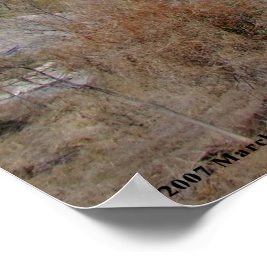 Zihuatanejo Bay - Poster (Hoek)