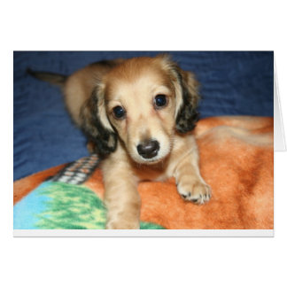 zij aan zij of mijlen uit elkaar