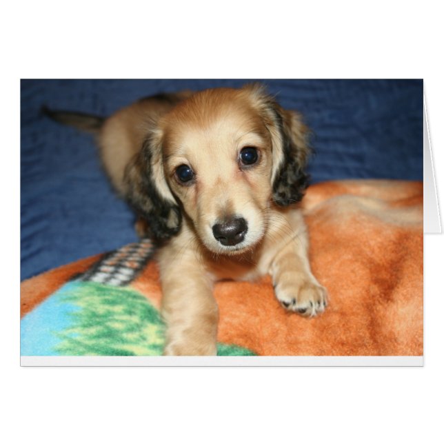 zij aan zij of mijlen uit elkaar (Voorkant Horizontaal)