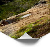 Zij die op het Poster van de Manuscript van de Hee (Hoek)