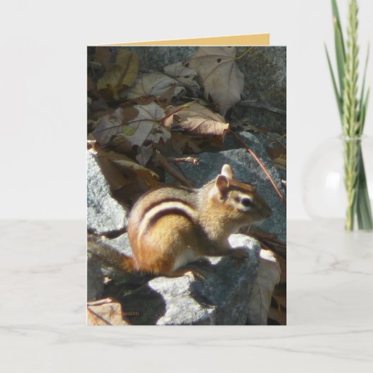 Zij hield op kaart (Voorkant)