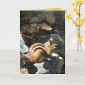 Zij hield op kaart (Gele Bloem)