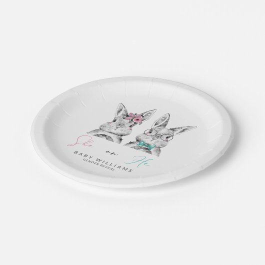 Zij of Hij Roze & Blauw Konijntje Geslacht onthull Papieren Bordje (Gekanteld)