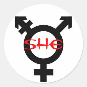 Zij Transgender Ronde Sticker