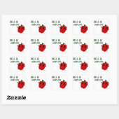 ZIJ ZAL APPELS Stickers ZIJN - reeks van 20 (Vel)