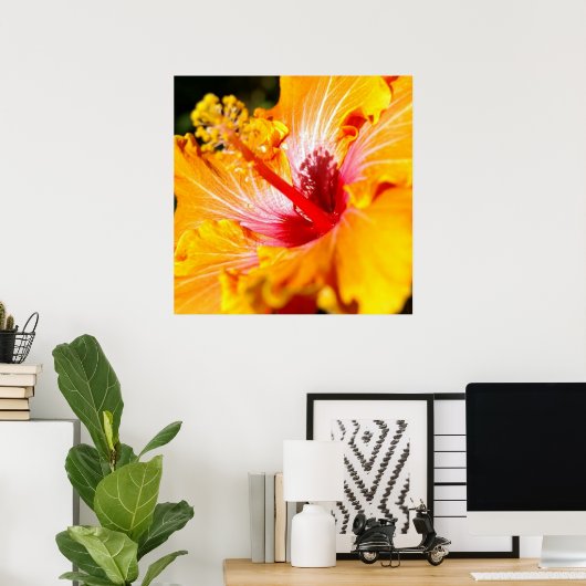 Zijaanzicht oranje hibiscusbloem poster (Thuiskantoor)