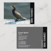 Zijband - Aalscholver Visitekaartje (Voorkant / Achterkant)