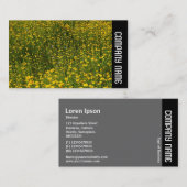 Zijband - Bed van Gele Daisies Visitekaartje (Voorkant / Achterkant)