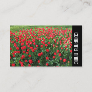 Zijband - Bed van rode tulpen 01 Visitekaartje