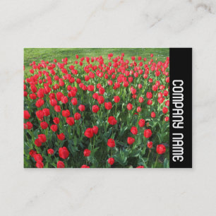 Zijband - Bed van rode tulpen 01 Visitekaartje