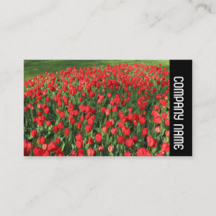 Zijband - Bed van rode tulpen 02 Visitekaartje
