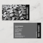 Zijband - bladeren visitekaartje (Voorkant / Achterkant)