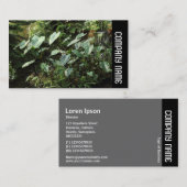 Zijband - Botanische tuinen Visitekaartje (Voorkant / Achterkant)