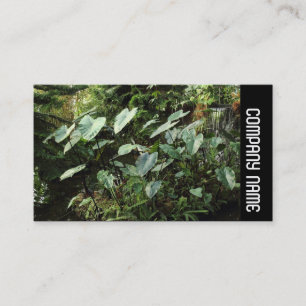 Zijband - Botanische tuinen Visitekaartje