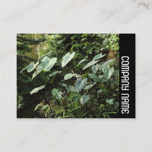 Zijband - Botanische tuinen Visitekaartje (Voorkant)