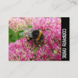 Zijband - Bumble Bee op sedum Visitekaartje