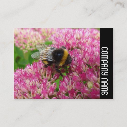 Zijband - Bumble Bee op sedum Visitekaartje (Voorkant)