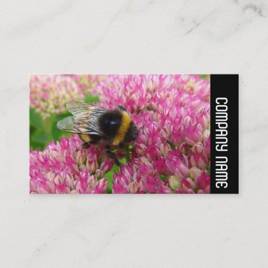 Zijband - Bumble Bee op sedum Visitekaartje (Voorkant)