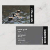 Zijband - Canadese ganzen met goslings Visitekaartje (Voorkant / Achterkant)