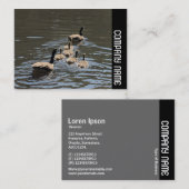 Zijband - Canadese ganzen met goslings Visitekaartje (Voorkant / Achterkant)