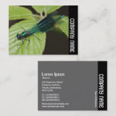 Zijband - Dragonfly Visitekaartje (Voorkant / Achterkant)