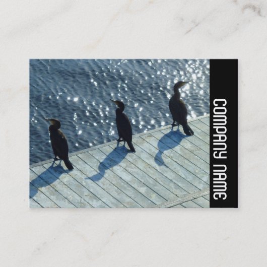 Zijband - Drie aalscholvers Visitekaartje (Voorkant)