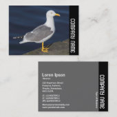 Zijband - Gele meeuw Visitekaartje (Voorkant / Achterkant)