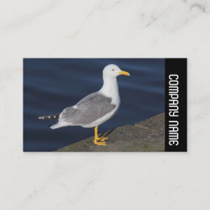 Zijband - Gele meeuw Visitekaartje